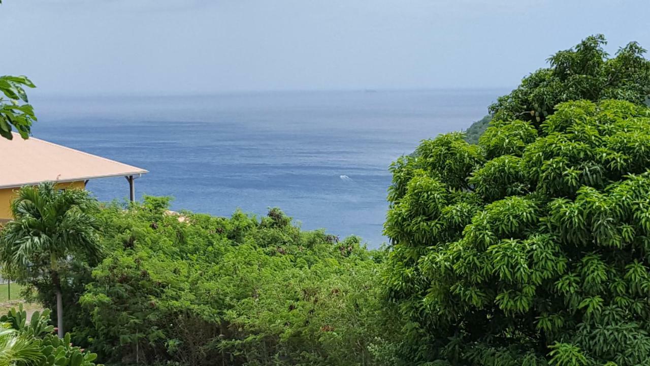 La Yole Des Caraibes Lejlighed Les Anses-d'Arlets Eksteriør billede